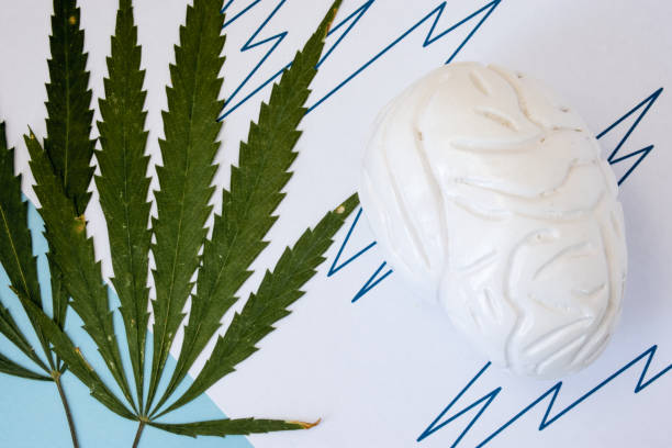 Medizinisches Cannabis - Detailansicht Hanfblätter und Gehirn
