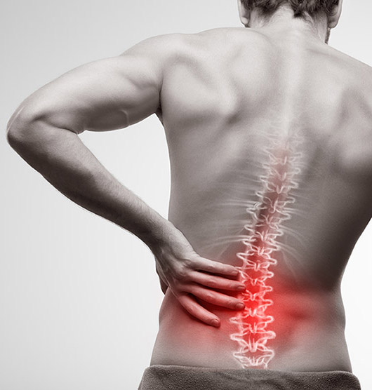 Schmerzbehandlung - Rückenschmerzen Detailansicht Wirbelsäule